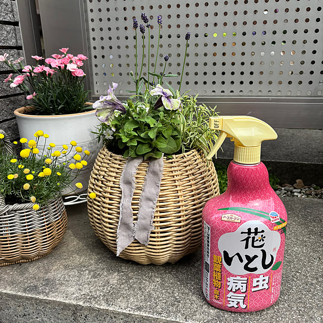 maayaさんの部屋