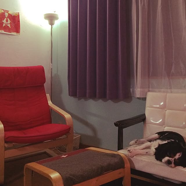 miiwaaさんの実例写真