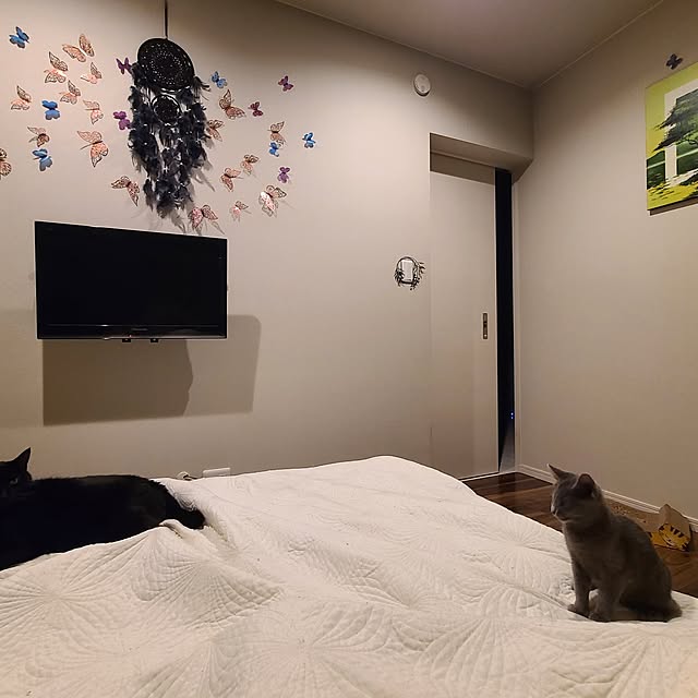 zenoさんの実例写真