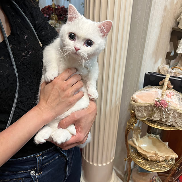 AYUKOさんの実例写真
