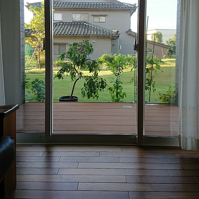 s_h_yさんの実例写真