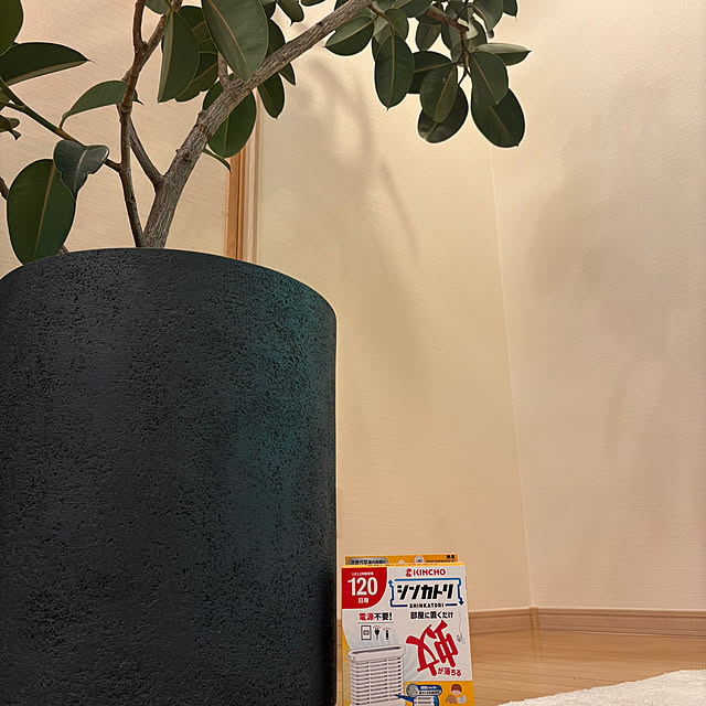 nao525さんの実例写真