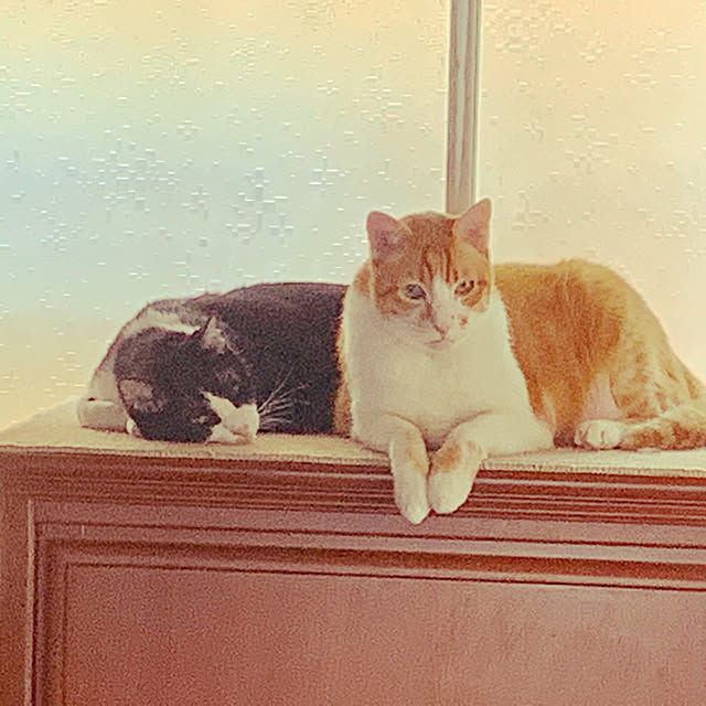 brbrnknkさんの実例写真