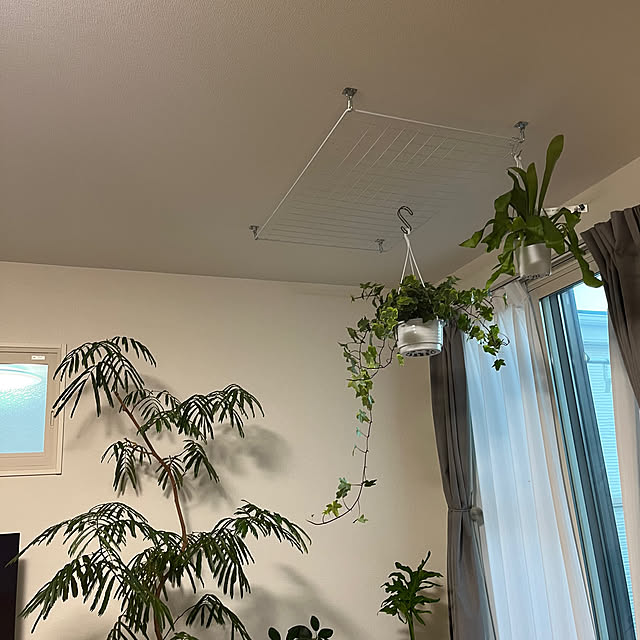 miichanさんの部屋