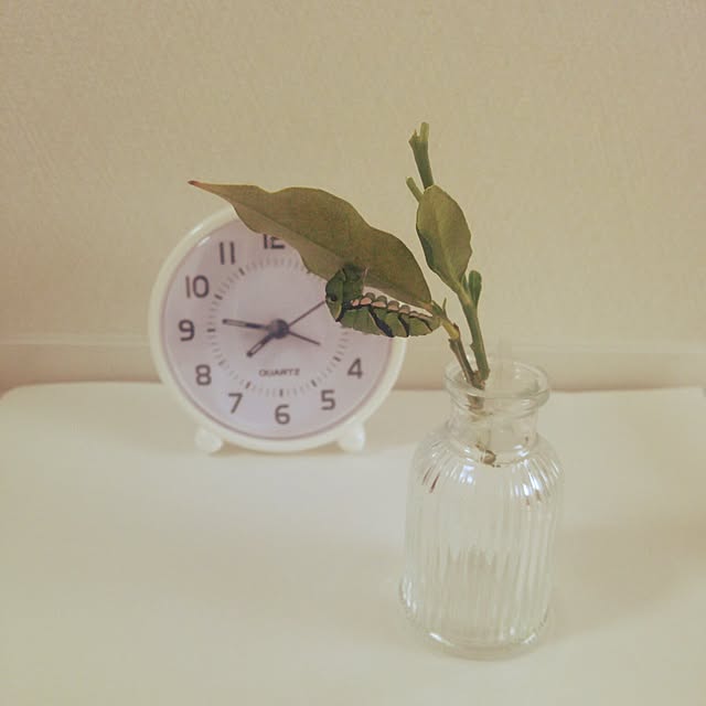 yun0603さんの実例写真