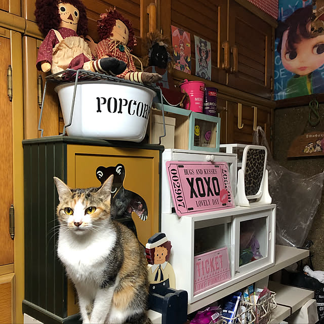 vivienne.coco-keiさんの実例写真