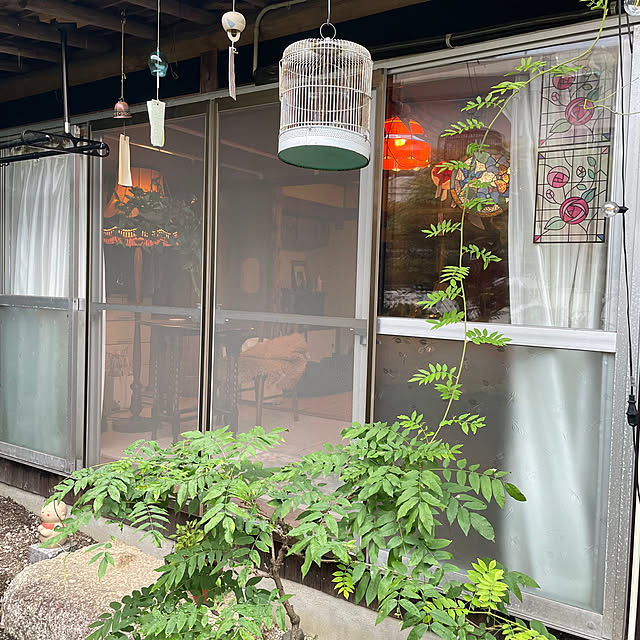 shin0719さんの実例写真