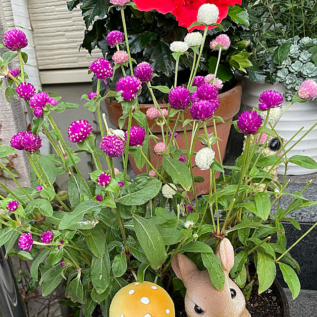 emikoさんの実例写真
