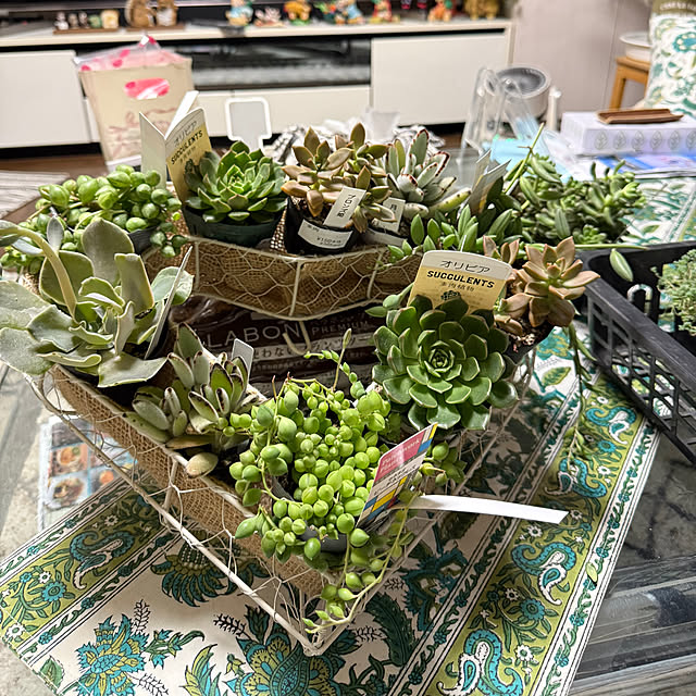 Aqettyさんの部屋