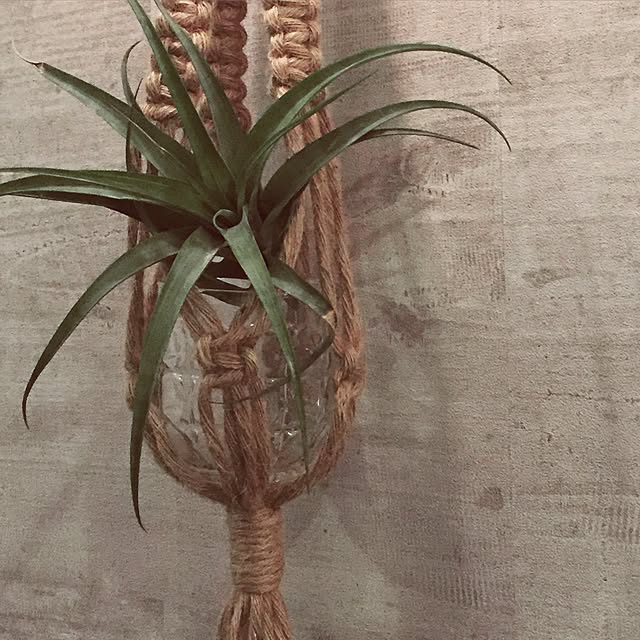 shizarさんの実例写真