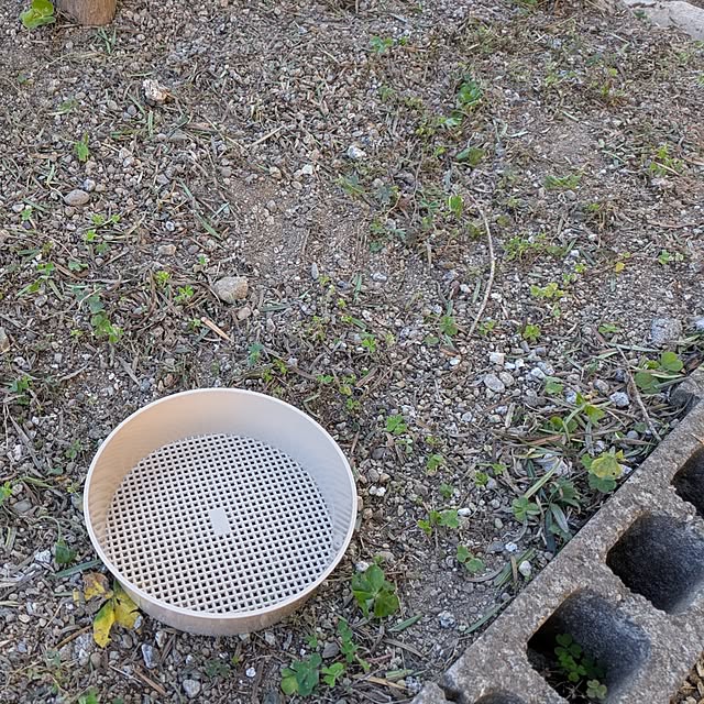 asaさんの実例写真