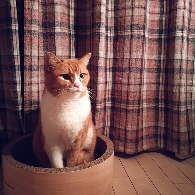 camomile326さんの実例写真