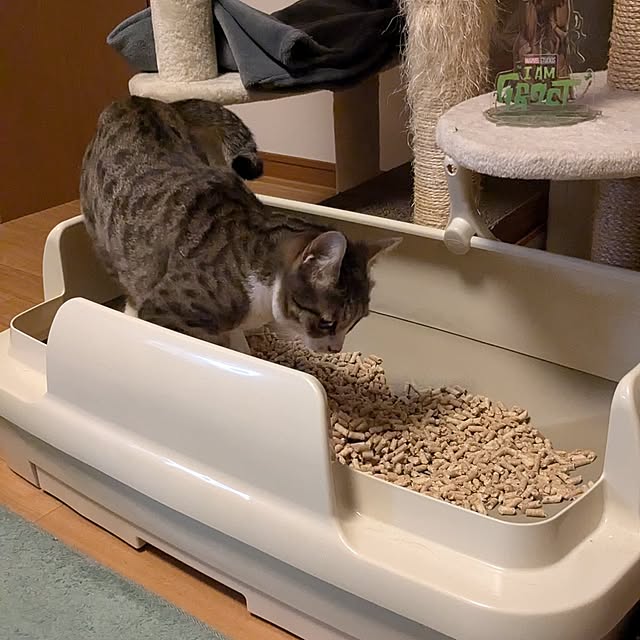 diopucciさんの部屋
