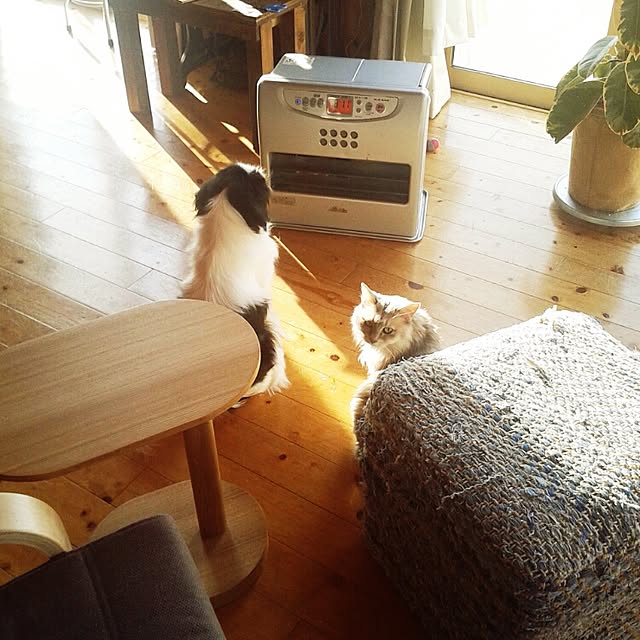 aiuekkoさんの実例写真