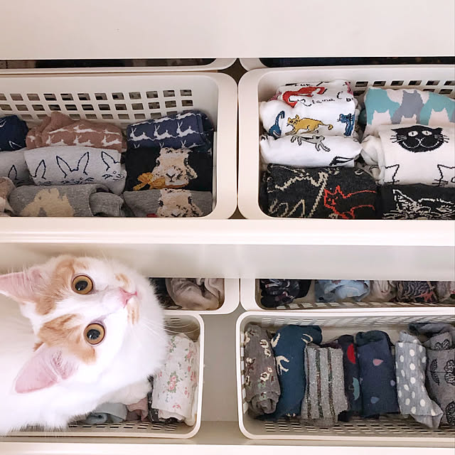 yuchiさんの実例写真