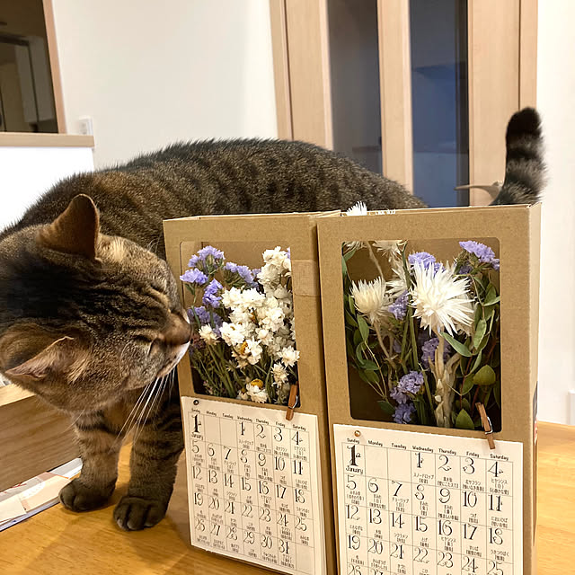 kirinsanさんの部屋