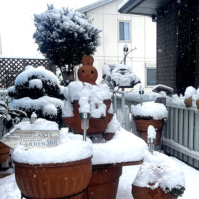 Ohigeさんの実例写真