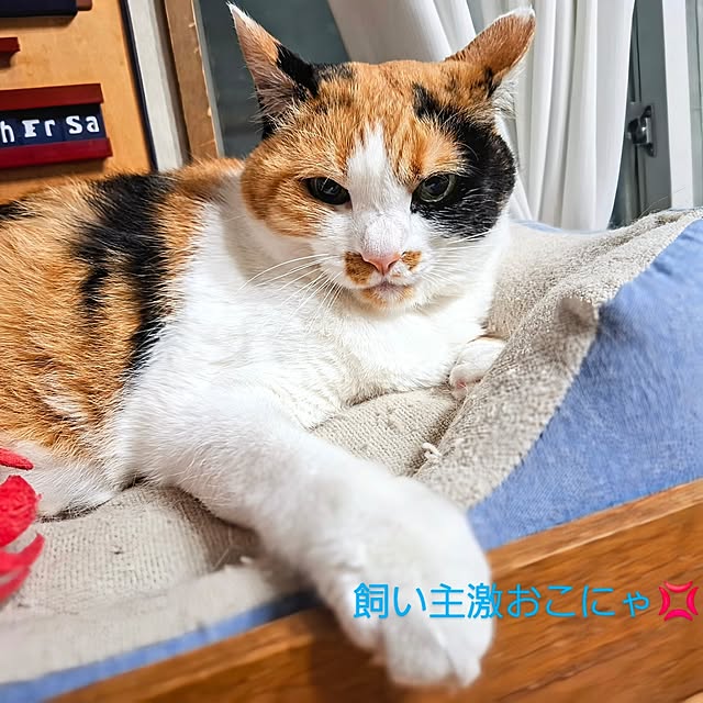nanaさんの実例写真