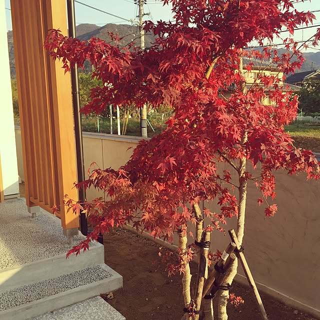 0710さんの実例写真
