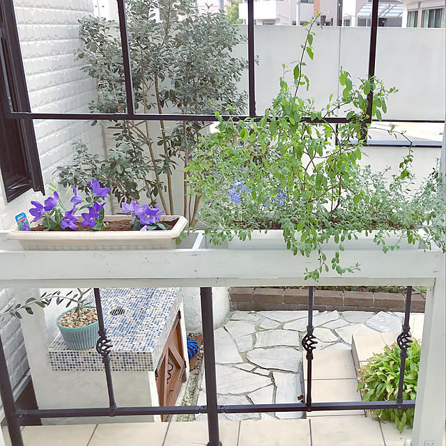 kenzさんの実例写真