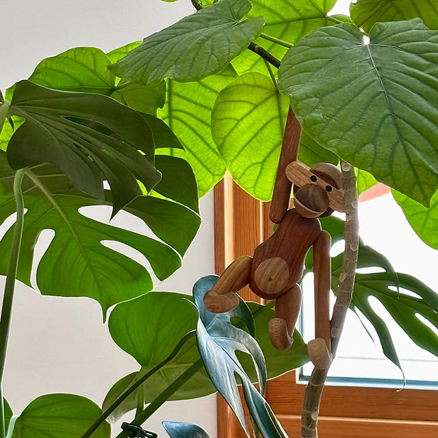 lalalaさんの実例写真