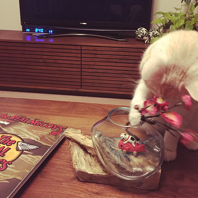 y.k.0123さんの実例写真