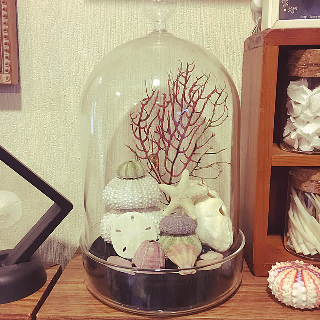 tamamix_a_gogoさんの実例写真
