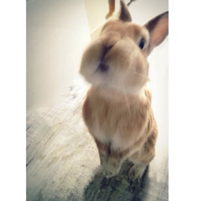 kimuさんの実例写真