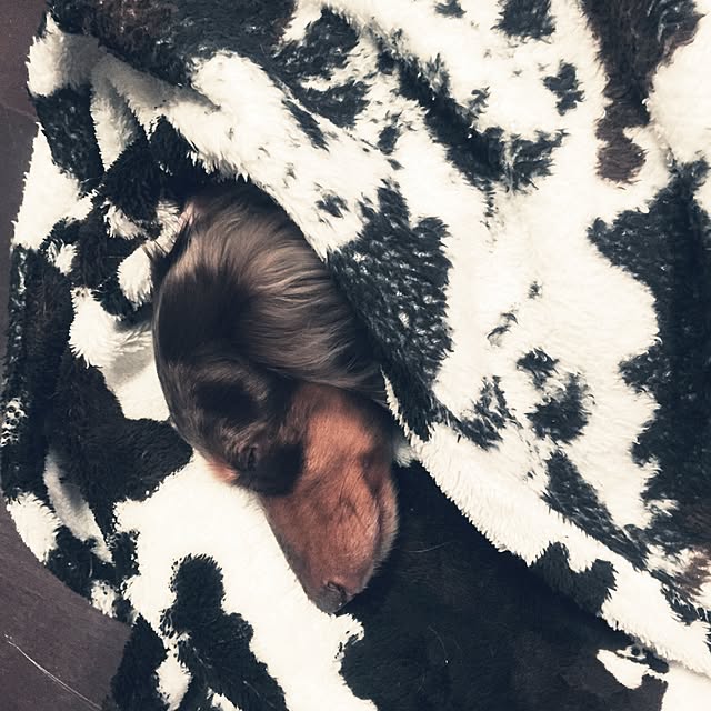 reikaさんの実例写真