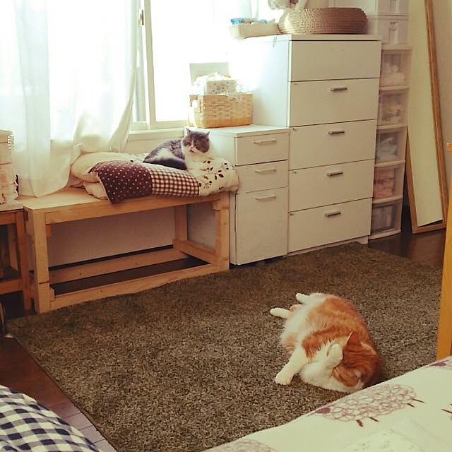 otoさんの実例写真