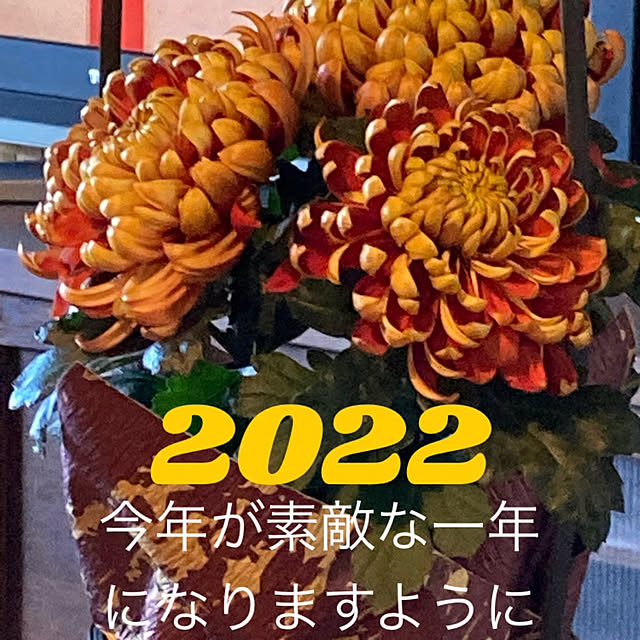 ayuさんの実例写真