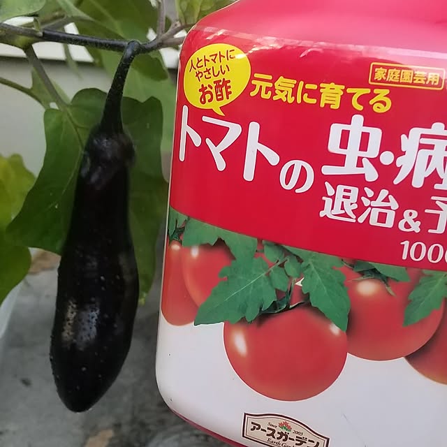 Rさんの部屋