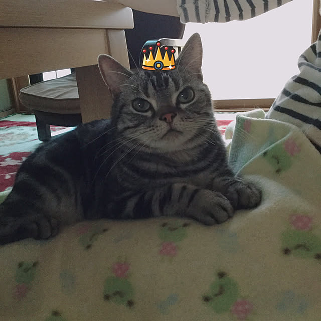 richanさんの実例写真