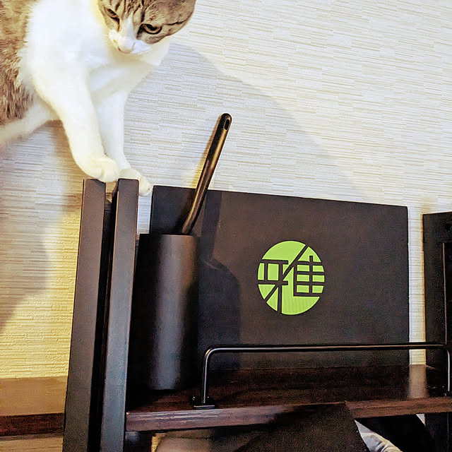 棚/DIY/ねこのいる日常/ねこのいる風景/猫と暮らす家...などのインテリア実例 - 2023-01-29 08:39:07