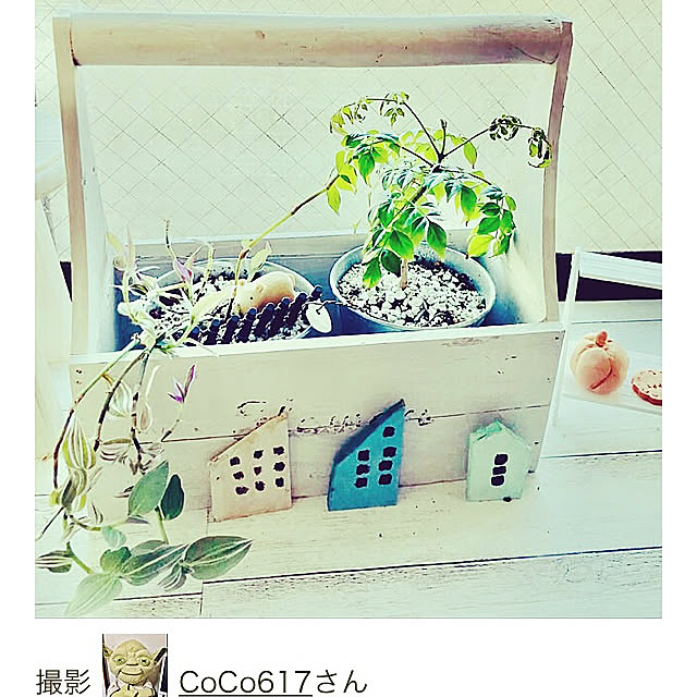 CoCo0617さんの実例写真