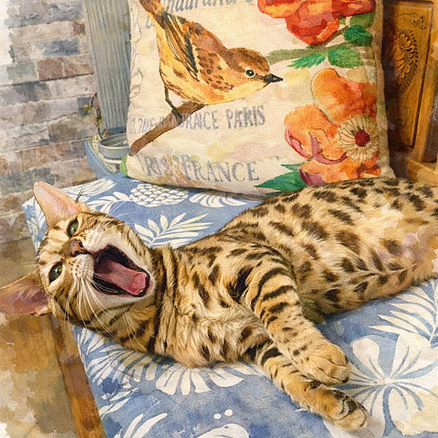 tututu0204さんの部屋