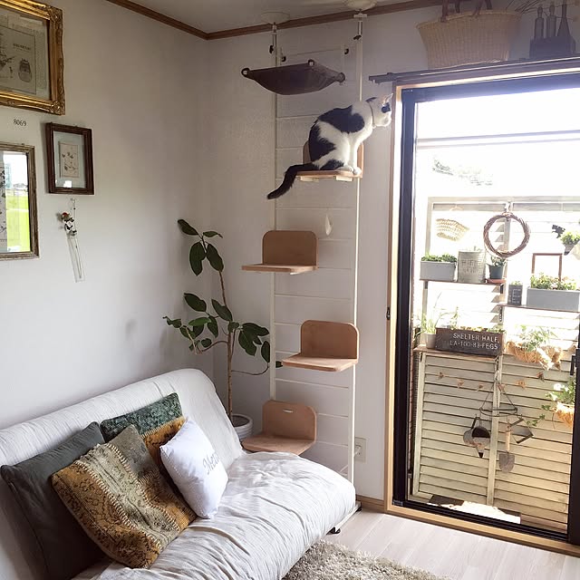 Mouさんの実例写真