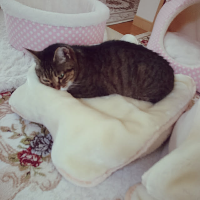 lilyさんの実例写真
