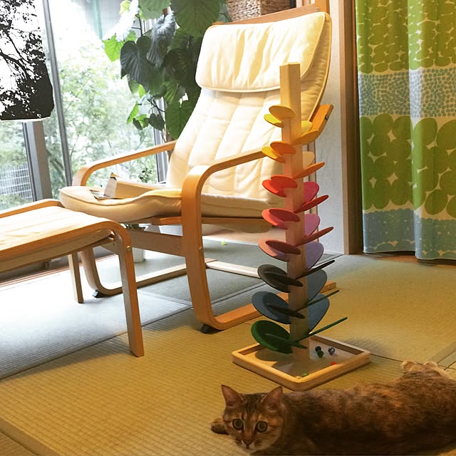 inae2さんの実例写真