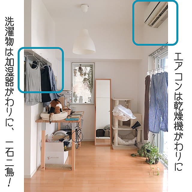 warashibeさんの実例写真