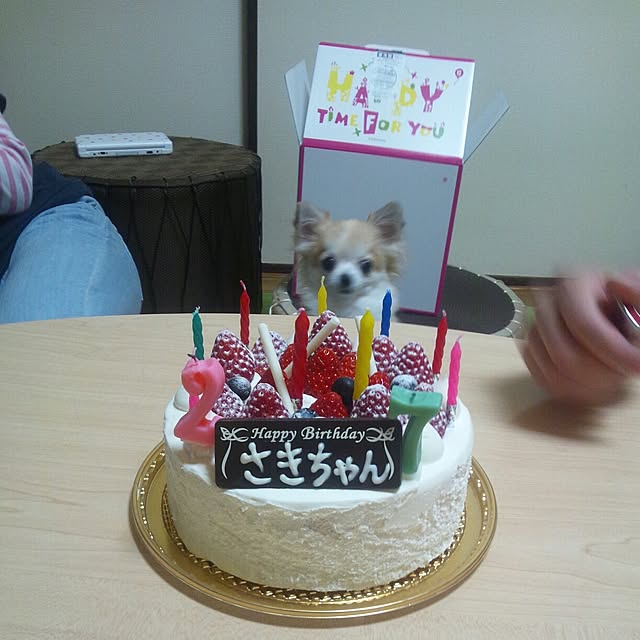 机/チワワ❤︎/バースデーケーキのインテリア実例 - 2014-09-24 18:59:50