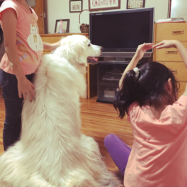 実例写真