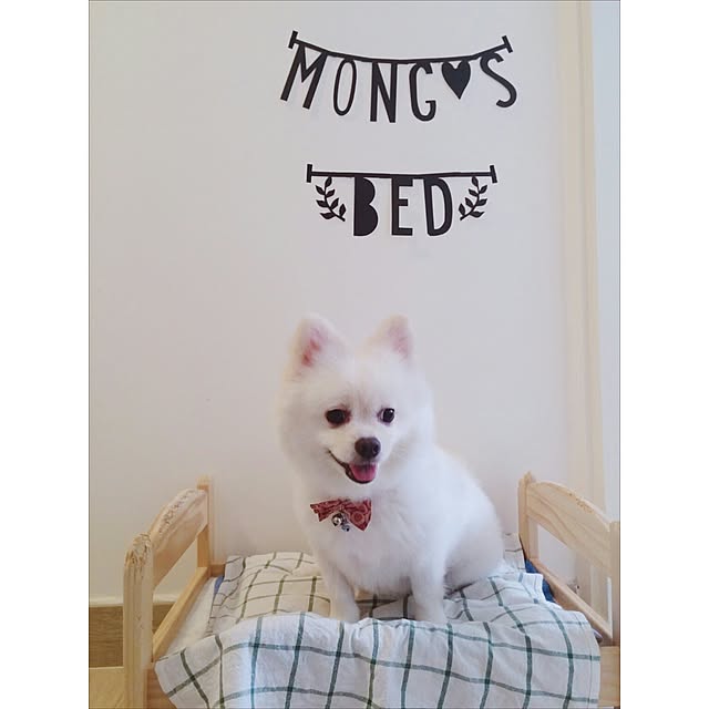 Belleさんの実例写真