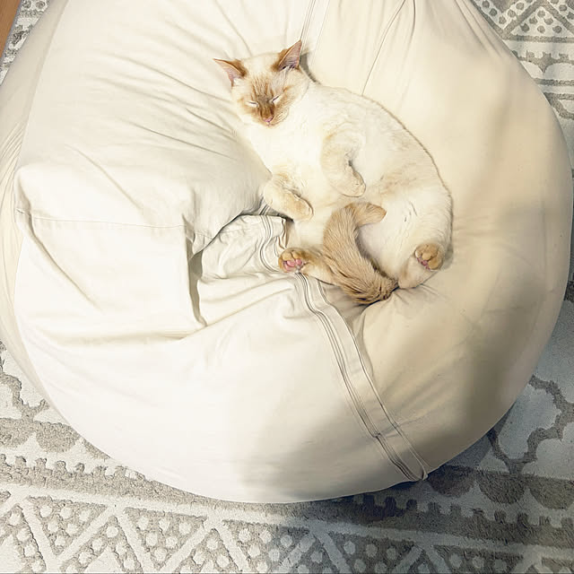 YUKIFUKUさんの実例写真