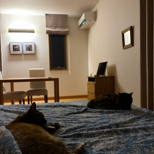cocoさんの実例写真