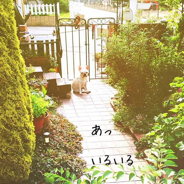 38coreさんの実例写真