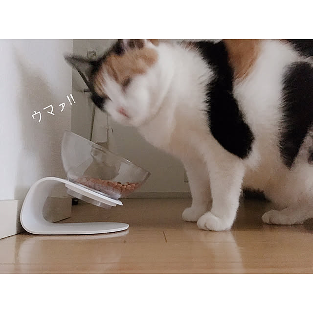 warashibeさんの実例写真