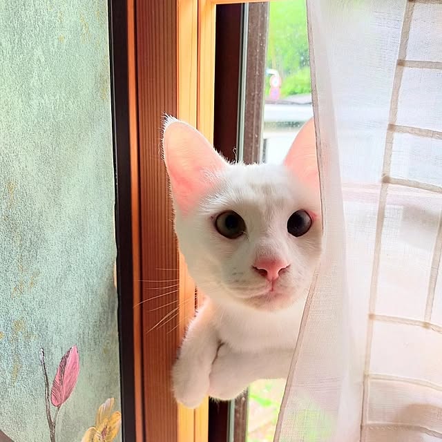 aya_meさんの部屋