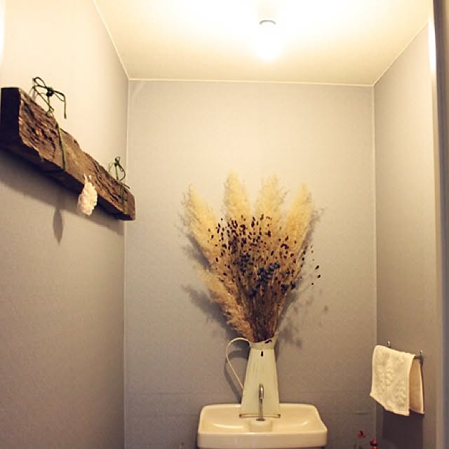 実例写真