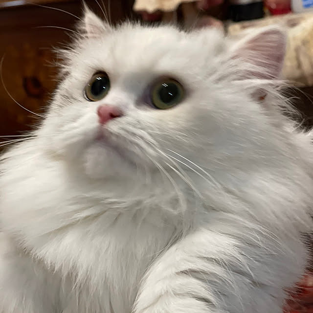 AYUKOさんの部屋